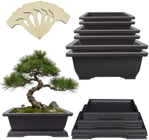 MUZHI 6PCS/Pack Retro Style Basin Plastic Flower Pot 6.5 Inch Flower Bonsai Tree Plant Bowl Nursery Pots Maceta Cuadrada Simulational Purple Sands Pots with Tray Rectangle Small