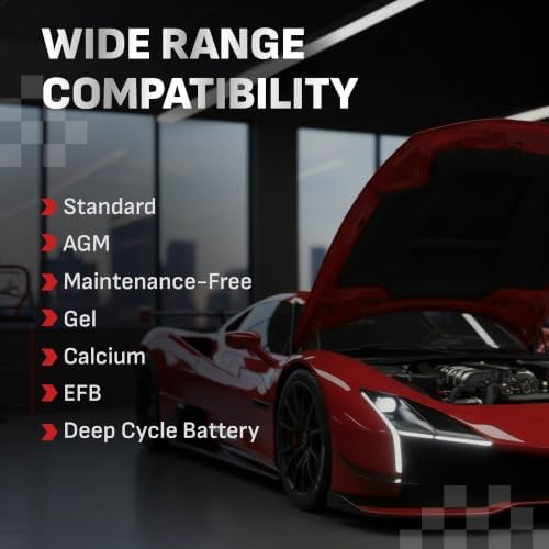Schumacher Electric DSR ProSeries Car Battery Jump Starter - 2200 Peak Amp 12V Car Starter, Jump Box & Portable Power Station - Digital Display, Heavy-Duty Clamps - DSR165 | DSR Pro-Grade – 2200A – AGM Powered – 12V DC & 2.1A USB Portable Power – Auto, R…