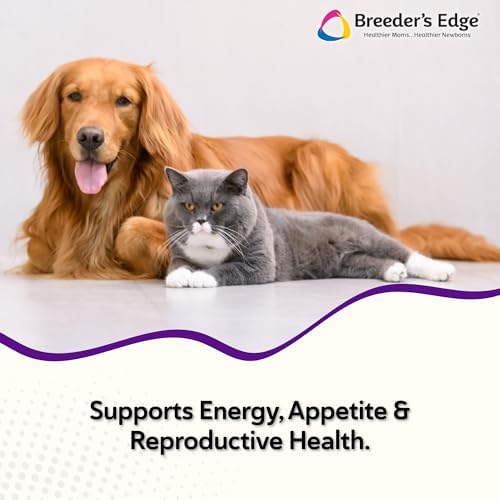 Breeder’s Edge B Strong Powder, B-Complex Vitamin Supplement for Dogs and Cats, Supports Reproductive Health, Promotes Normal Heat Cycles, and Helps Maintain Energy, 300g