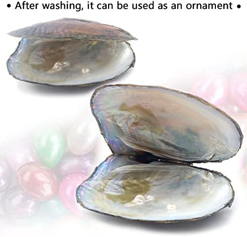 Oyster Pearls, Monster Oysters with Pearls Inside 5-8mm 25 PCs Cultured Freshwater Pearl Pearl an Oysters Home Decoration Jewelry Making
