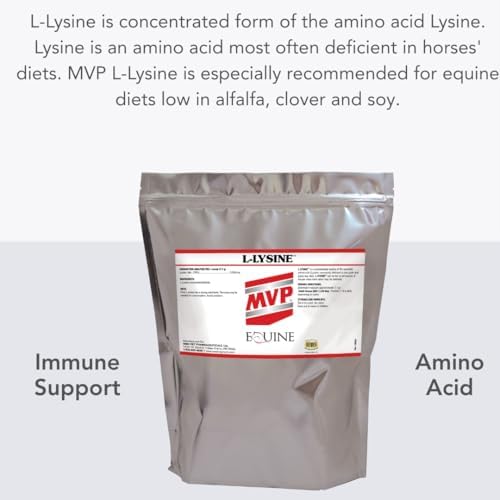 MVP L-Lysine (10lb) for Equine Muscle/Immune Support