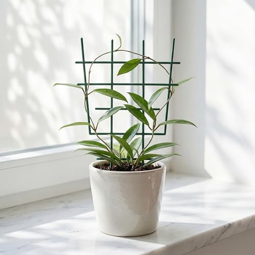 DOITOOL 12 Inch Small Plant Trellis for Potted Plants, 5-Pack