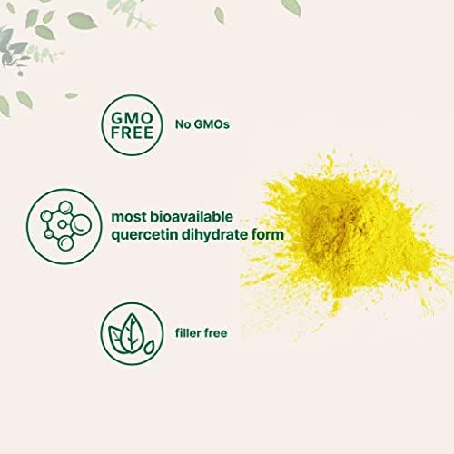 Pure Quercetin Dihydrate Powder, Quercetin 500mg Per Serving, 100 Grams, Most Bioavailable Grade and Filler Free, Powerful Antioxidant Supports Energy