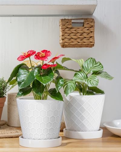 EFISPSS Ceramic Plant Pots, 5 Inch Planters with Drainage Holes and Ceramic Tray, Relief Design Flower Planter