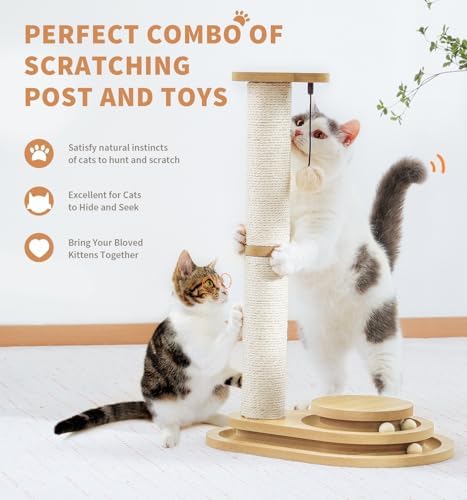 Made4Pets Kitten Toy Scratching Post for Indoor Cats with Ball Track