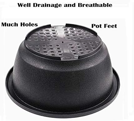 MUZHI 12PACK Matte Black Succulent Bonsai Round Planter Bowl Pot with Drainage, Plastic Cactus Flat Garden Plant Bowl Pots 6.3”