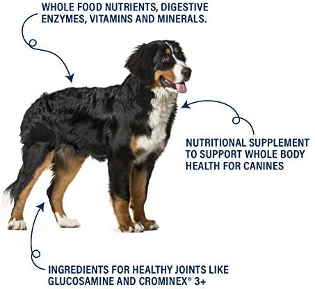 360 Pet Nutrition Canine Superfood Boost – All Life Stage Dog Meal Topper & Supplement, Supports Joint, Digestive & Immune Health, 30 Servings