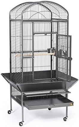 Prevue Pet Products Dometop Bird Cage - Large, Black Hammertone | for Parrots, Conures, Caiques, Small Cockatoos, Big Bird Cage with Wheels