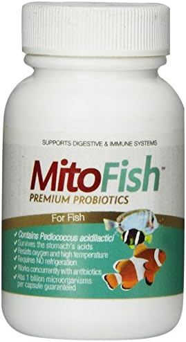 MitoFish Premium Pediococcus Based Probiotics and Prebiotics for Fish, 15 Capsules Per Bottle