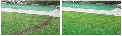 Hydro Mousse Bermuda Grass Seed - Large Refill Bag - Covers up to 1000 Square Feet