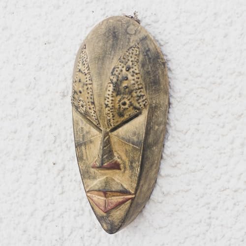 NOVICA Hand Carved African Wall Mask 'Brilliant Mind'