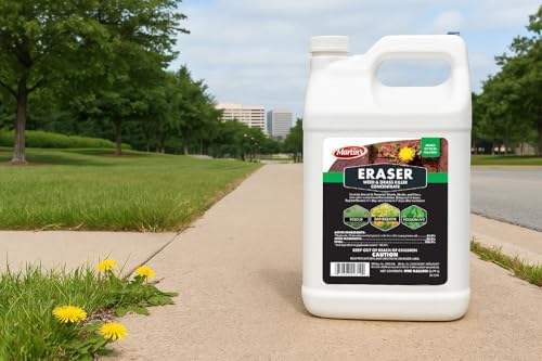 Control Solutions Inc. 82004319 Eraser Weed & Grass Killer Concentrate, 1_Gallon, 128 oz