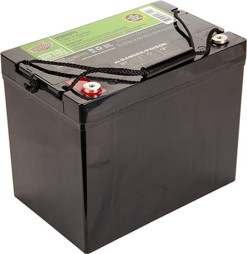 Interstate Batteries 12V 35Ah SLA AGM Deep Cycle Battery Insert Terminal