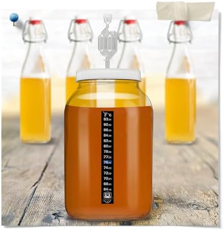 Airtight One Gallon Standard Fermentation Lid Gasket with Airlock - Turns Gallon Jar Into A Fermenter - Hard Kombucha, Beer, Wine, Cider, (S-Airlock)
