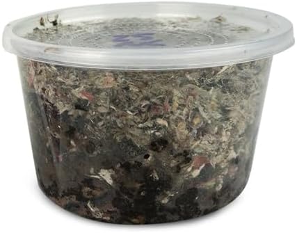Josh's Frogs Nightcrawlers/Earthworms - 'Lumbricus terrestris' (16 oz)