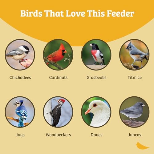 Birds Choice Classic Hanging Bird Feeder with Weatherguard Baffle | Squirrel Proof Bird Feeder for Cardinals, Chickadees