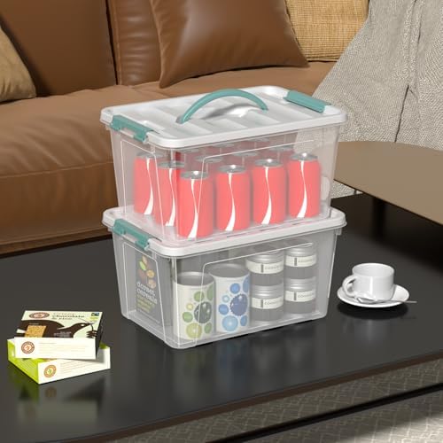 20 Quart Clear Plastic Bin with Lid, Latching Storage Box, 6 Packs