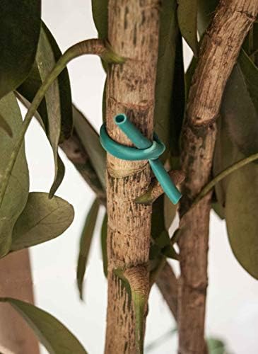 Luster Leaf 868 0868 Soft Stretch Tie, 100', Green