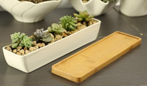 11inch Long Rectangle White Ceramic Succulent Planter Pots,with Bamboo Saucers. Product Size:11x2.23x1.69inch.