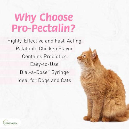 Vetoquinol Pro-Pectalin Oral Paste for Dogs & Cats – Chicken Flavor – Helps Reduce Occasional Loose Stool & Diarrhea, Balance Gut pH, Support Normal Digestion & Intestinal Flora - 30 cc