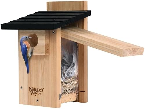 Nature's Way Bird Products CWH4 Cedar Bluebird Viewing House