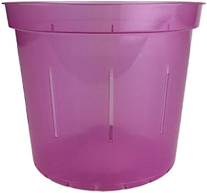 Orchid Pot - 6 inch Slotted Clear Orchid Pots - 3 Pack (Crystal Clear)
