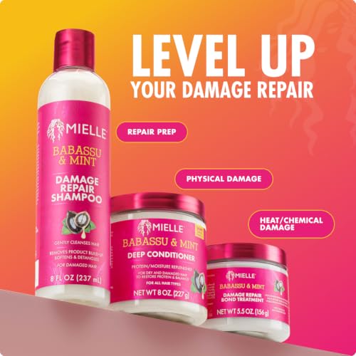 Mielle Organics Babassu & Mint Deep Conditioner with Protein, Moisturizing & Conditioning Deep Treatment, Hydrating Repair for Dry, Damaged