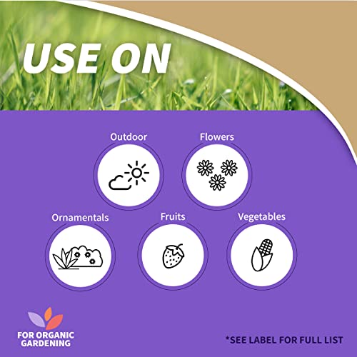 Bonide Captain Jack's Copper Fungicide, 32 oz Ready-to-Use Spray for Organic Gardening, Controls Common Diseases | For Organic Gardening, Controls Common Diseases on Plants