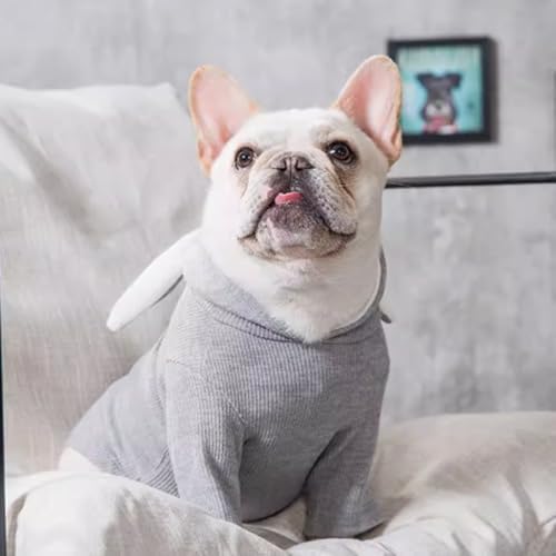 ANIAC Dog Hoodies Sweatshirt with Bunny Ears Spring Puppy Clothes for Small Dog Girl Boy Soft Doggy Sweater Cat Apparel Pet Clothing for Kitten