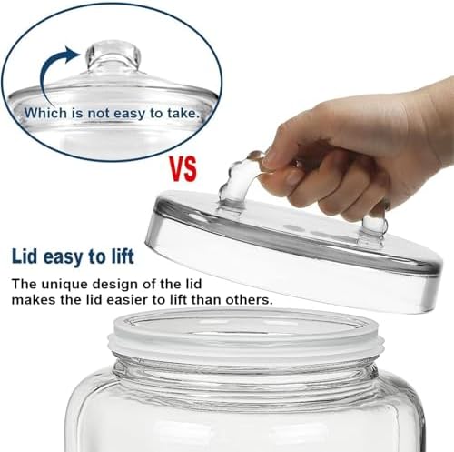 3 Gallon Glass Jar with Airtight Lid, Wide Mouth Large Glass Container