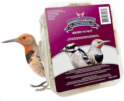 Armstrong Wild Bird Food Berry N' Nut Suet Cake, 11.3 Ounces (Pack of 3) - with Cut Corn, Rendered Beef Fat, White Millet