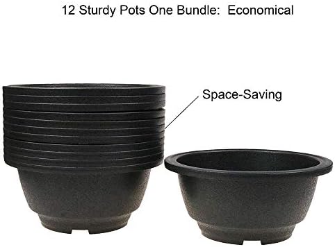 MUZHI 12PACK Matte Black Succulent Bonsai Round Planter Bowl Pot with Drainage, Plastic Cactus Flat Garden Plant Bowl Pots 6.3”