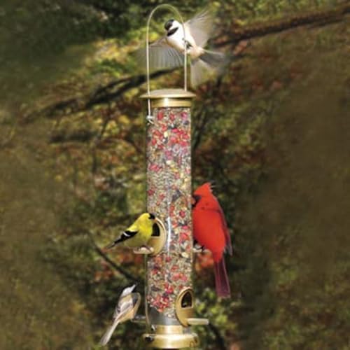 Cole's TT06 Terrific Tube Bird Feeder, 6-Port, Gold