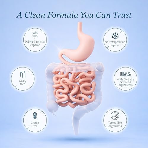 Vitamin Bounty Pro-50 Probiotic 50 Billion CFU - 13 Strain Supplement for Men & Women + Prebiotics - Digestive Health & Gut Support - Lactobacillus & Bifidobacterium - Delayed Release Capsules, 2 Pack