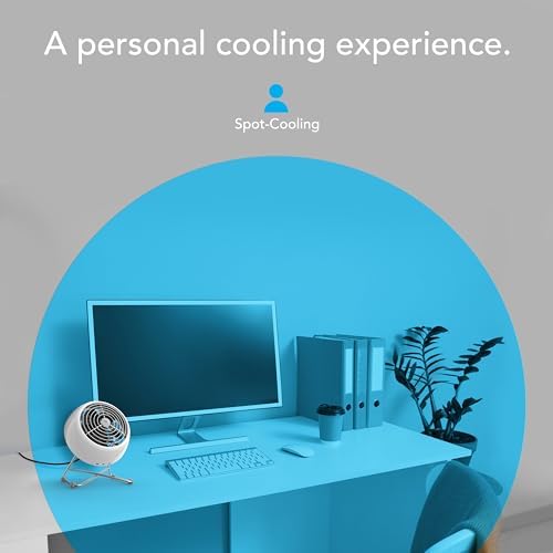 Vornado VFAN™ Mini Modern Personal Desk Fan with 2-Speed Control, Adjustable Tilt, Quiet Metal Air Circulator for Office, Bedroom, Dorm