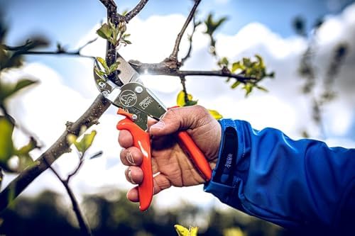 Original LÖWE 10 Professional Anvil Pruning Shears 10.107 with Bypass Geometry - Innovative Sharp Shears with Ergonomic Handles and Non-Stick Steel