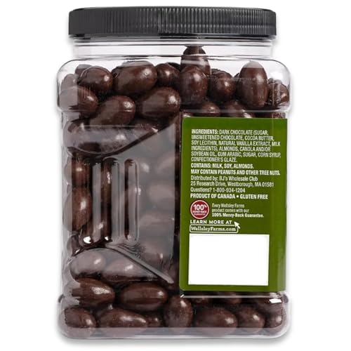 Wellsley Farms Dark Chocolate Covered Almonds – 2lbs 13oz | Whole Roasted Almonds with Real Creamy Dark Chocolate | Kosher, Gluten-Free Snack
