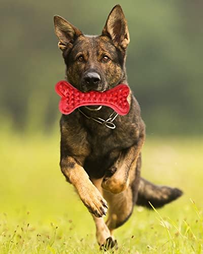 German Shepherd Dog Chew Toys for Aggressive Chewers