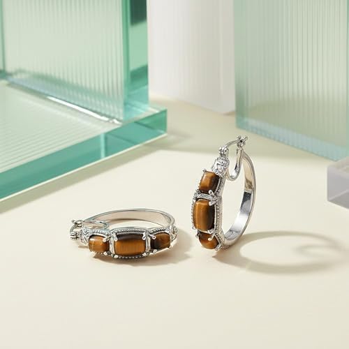 Tigers Eye 10.50 ctw Earrings in Stainless Steel
