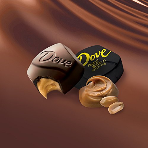 Dove Promises Peanut Butter and Dark Chocolate Candy, 7.94 Ounce