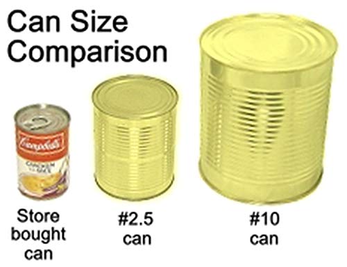 Whole Mandarin Orange Segments #10 Can in Light Syrup 6 Pack Large Cans