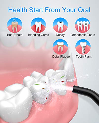 Nicefeel Cordless and Rechargeable Water Flosser - 300ML Water Tank Oral Irrigator, 4 Jet Tips