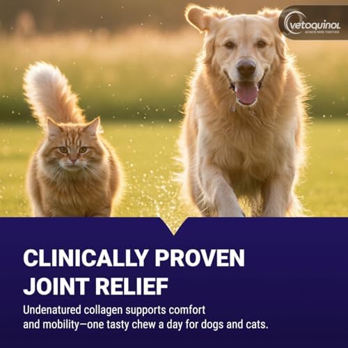 Vetoquinol Flexadin Advanced Hip and Joint Supplement with Undenatured Collagen for Dogs, One Chew a Day Hip and Joint Support Chew for Dogs and Cats, Clinically Proven Vet-Approved Formula, 60 Chews