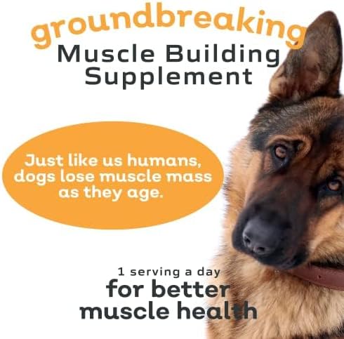 MYOS Canine Muscle Formula - Dog Muscle Builder & Mobility Support - 180 g