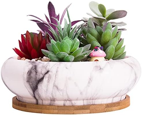 Succulent Pots, 7.3'' Large Bonsai Pots with Tray, Shallow Planters