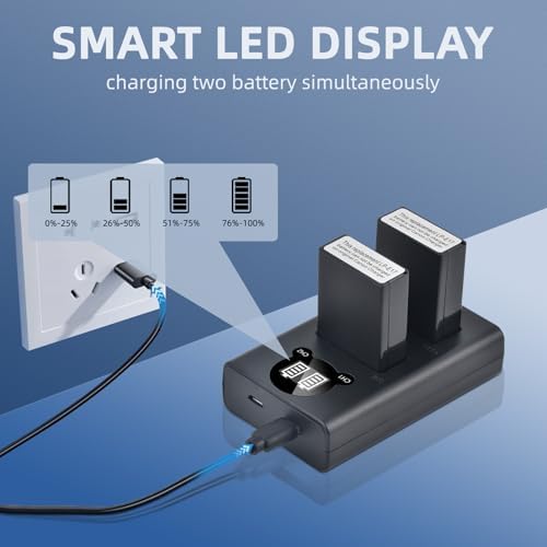 Batmax 2Packs LP-E17 Battery + LED Charger for Canon EOS Rebel SL2 SL3 T6i T6s T7i, EOS M5 M3 M6, M6 mark2