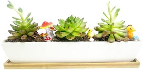 11inch Long Rectangle White Ceramic Succulent Planter Pots,with Bamboo Saucers. Product Size:11x2.23x1.69inch.