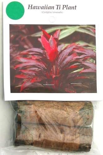 HAWAIIAN GREEN TI LEAF PLANT 2 LOGS ~ GROW HAWAII