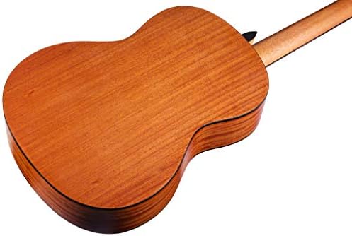 Cordoba C1M 1/2 Nylon Str Acoustic Guitar Natural