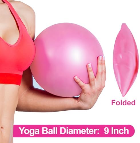 nononfish Mini Exercise Barre Ball for Yoga, Pilates, Stability Exercise Home Workout